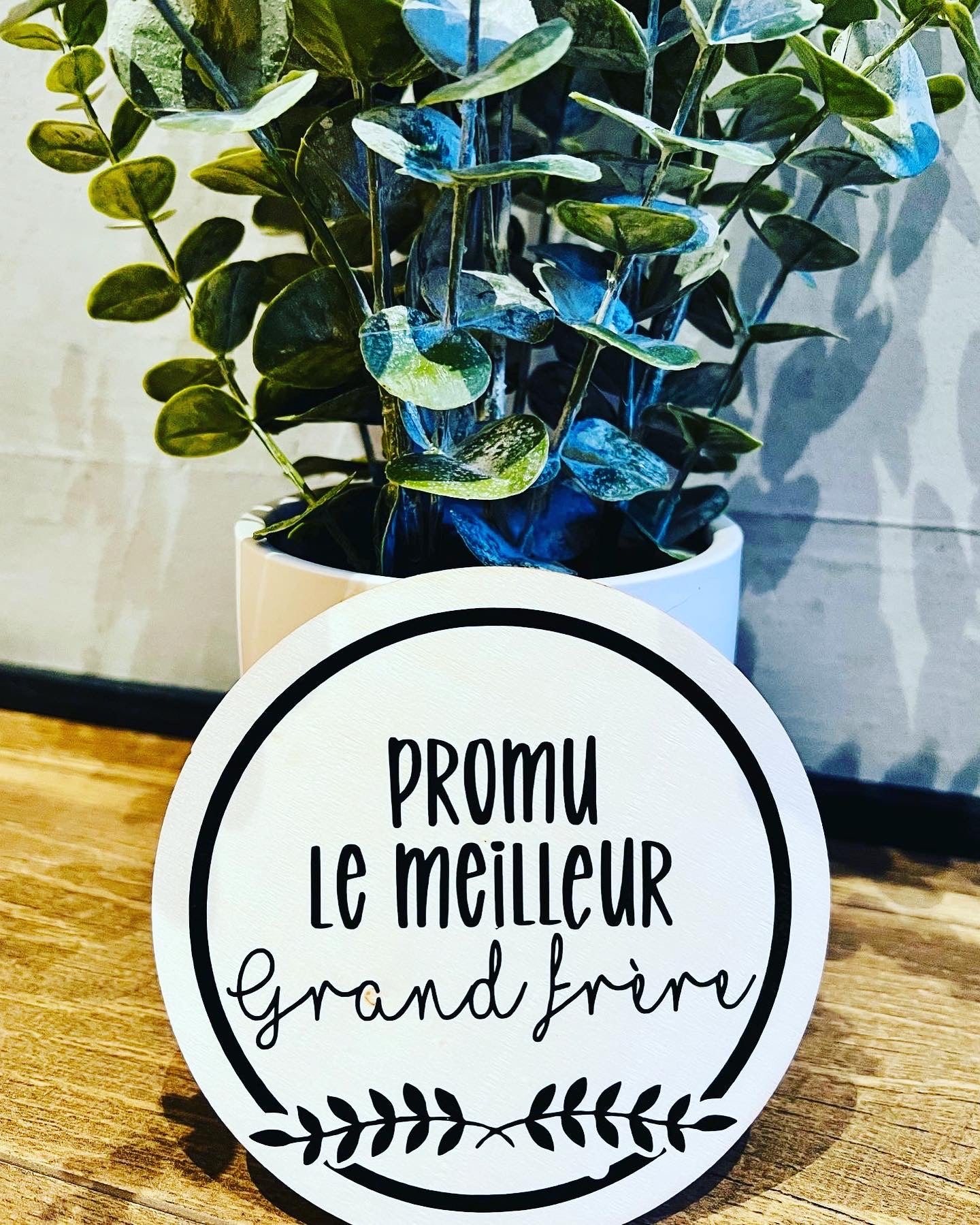 Pastille annonce grand frère/grande soeur